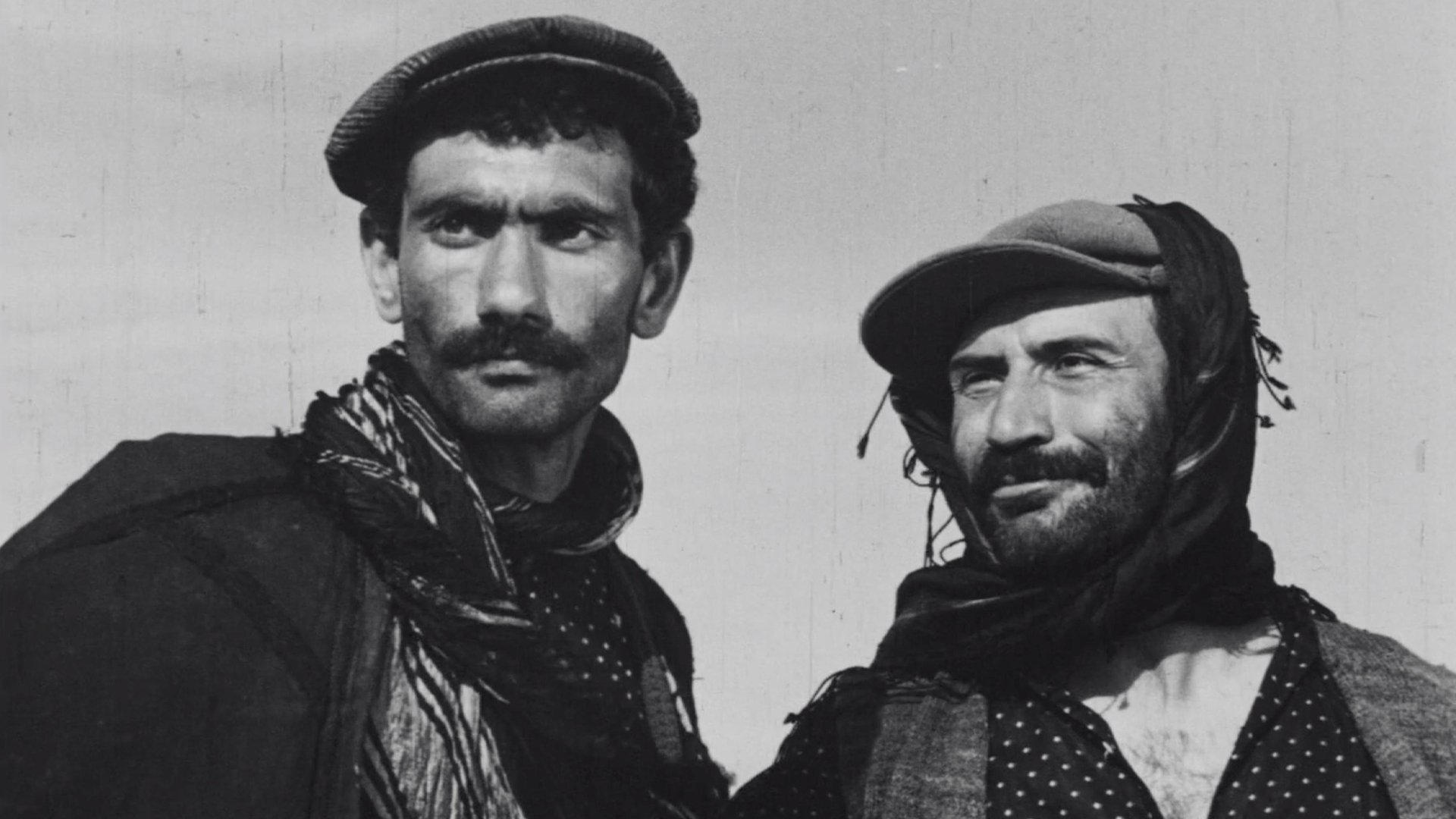 Law of the Border Background