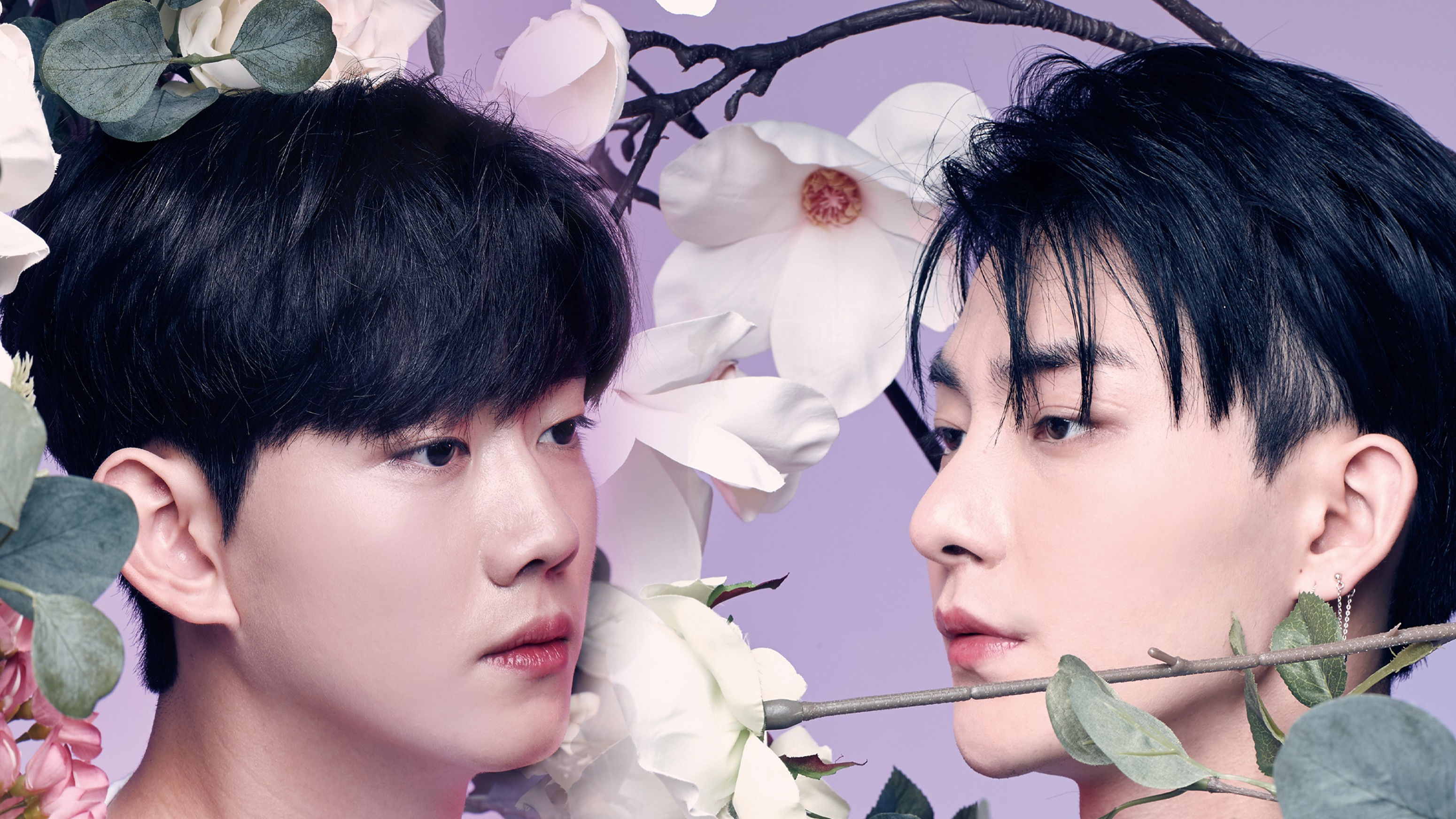 Color Rush Background