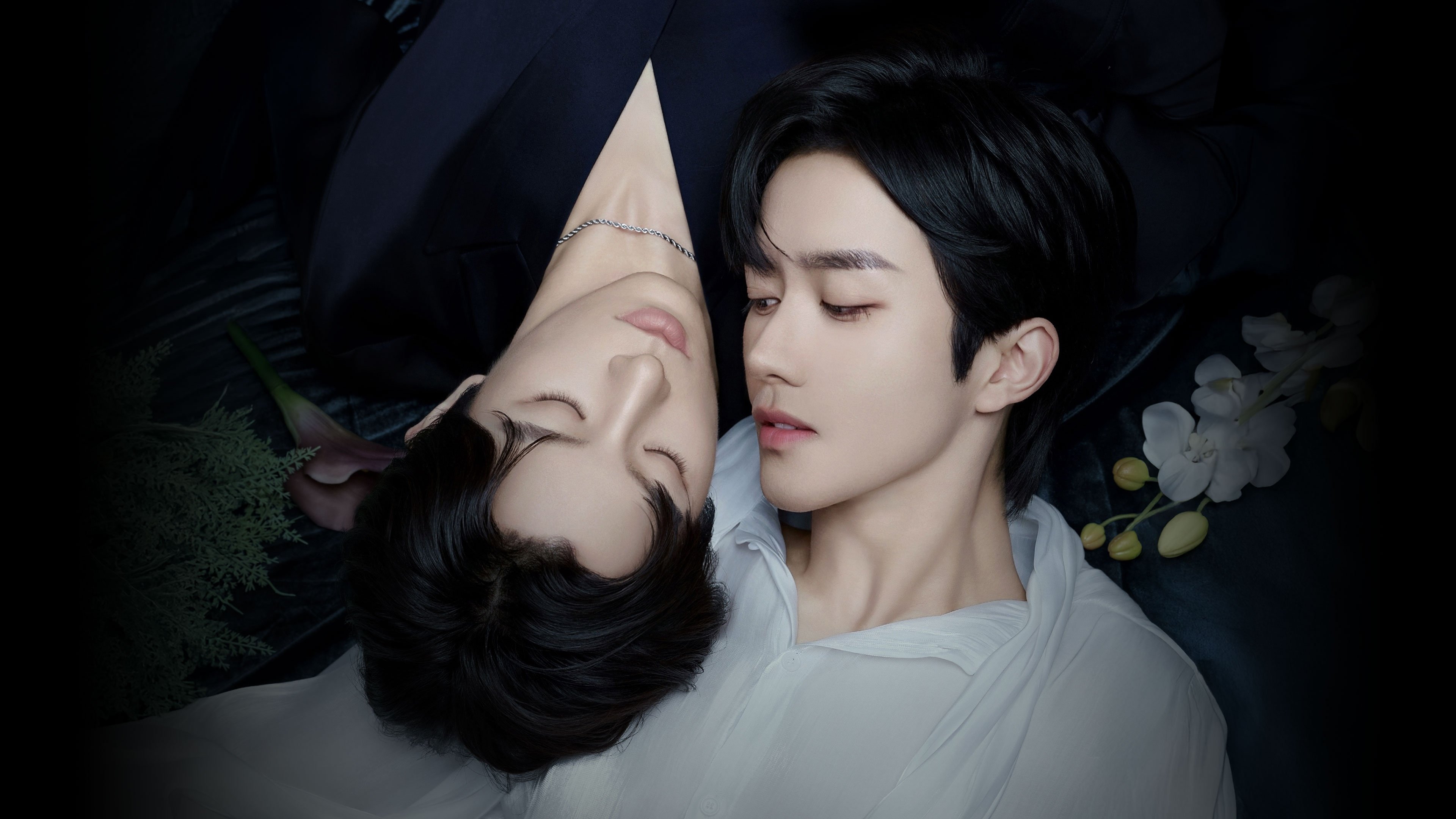 ABO Desire Background