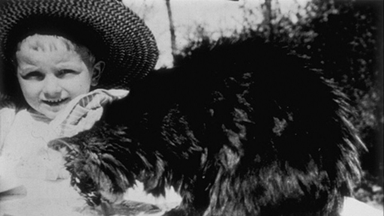 Déjeuner du Chat Background