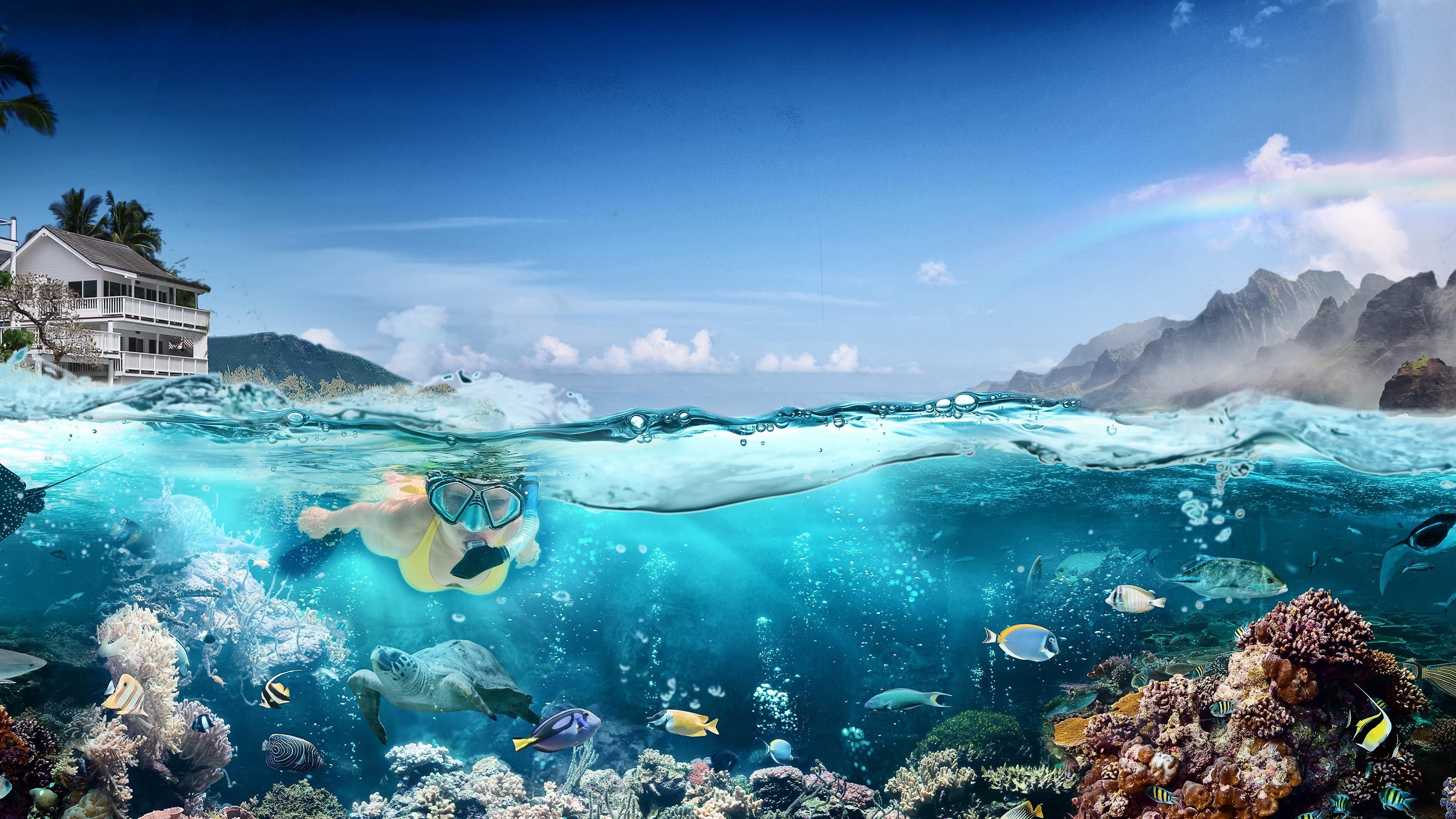 Hawaii Life Background