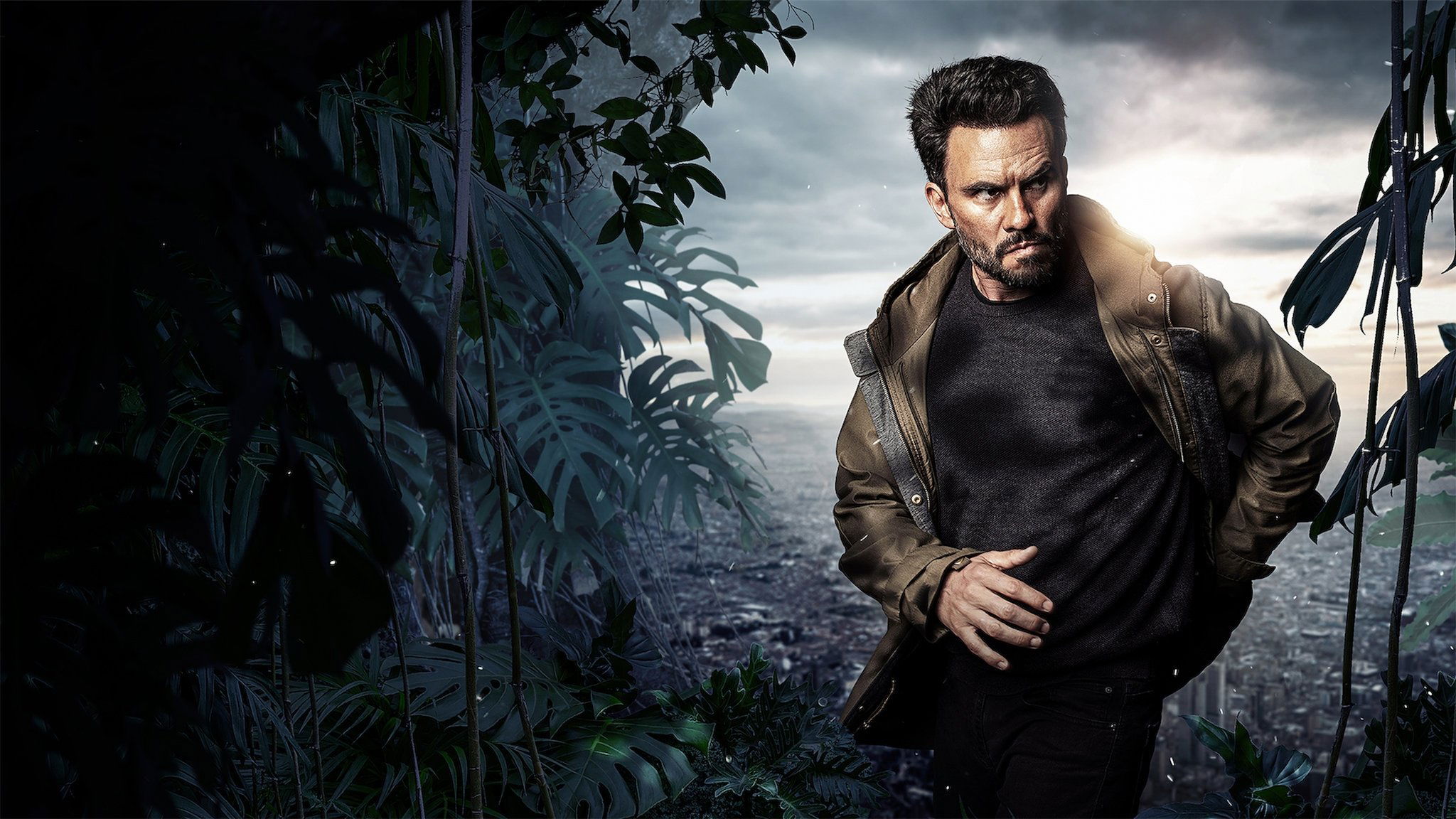 Distrito salvaje Background