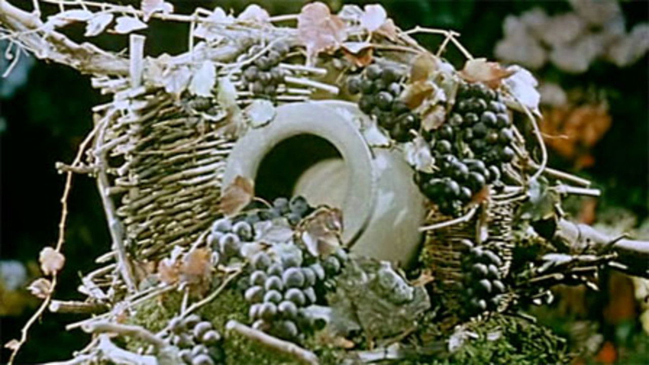 Sapovnela Background