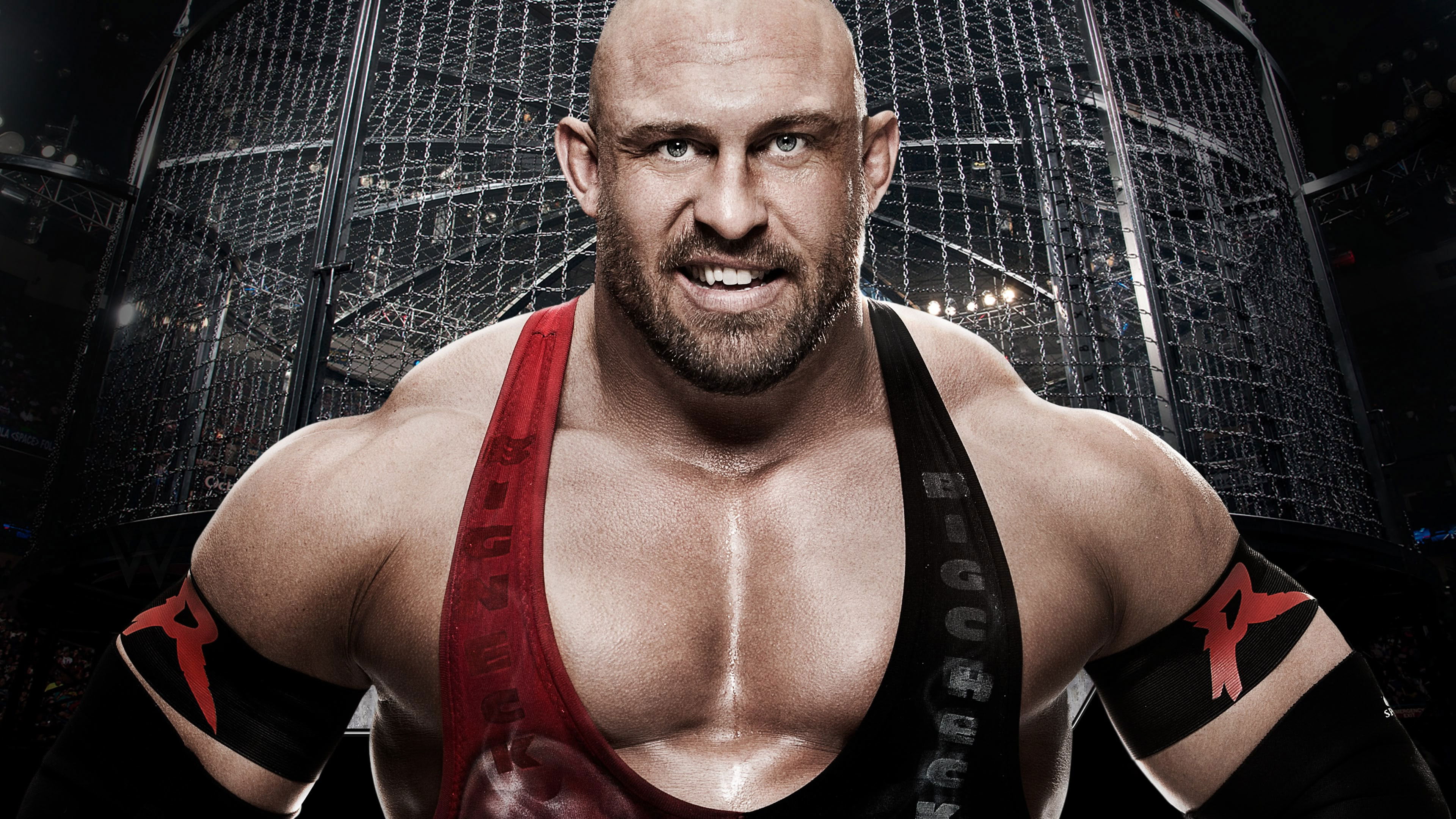 WWE Elimination Chamber 2015 Background