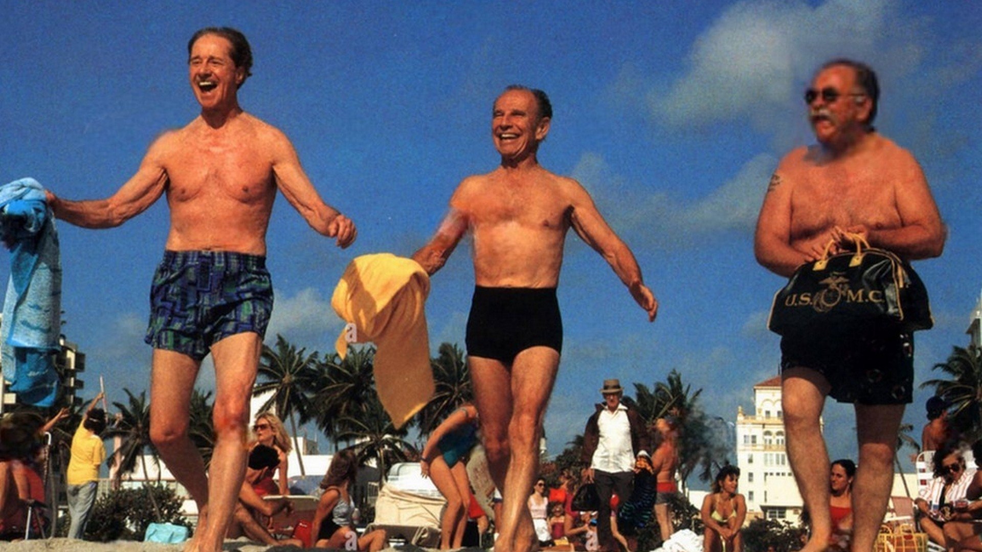 Cocoon: The Return Background