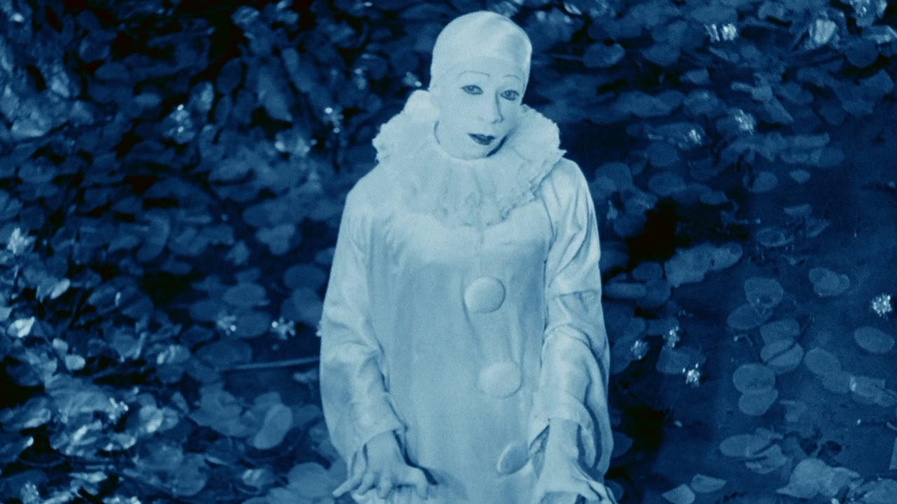 Rabbit's Moon Background