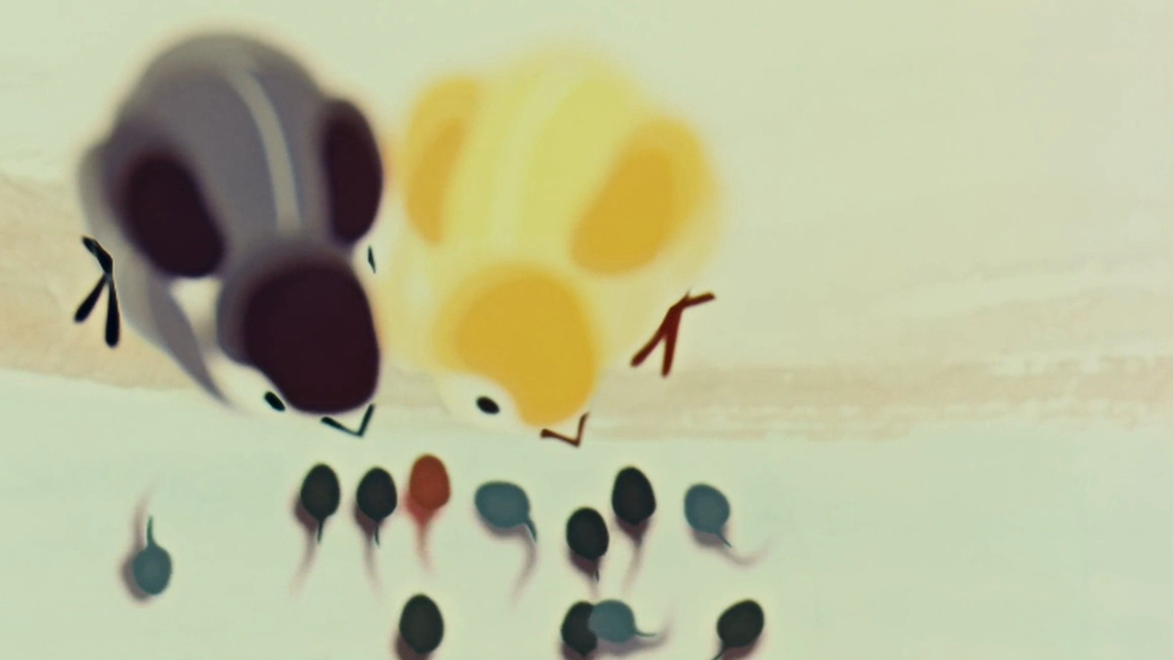 Where is Mama Background