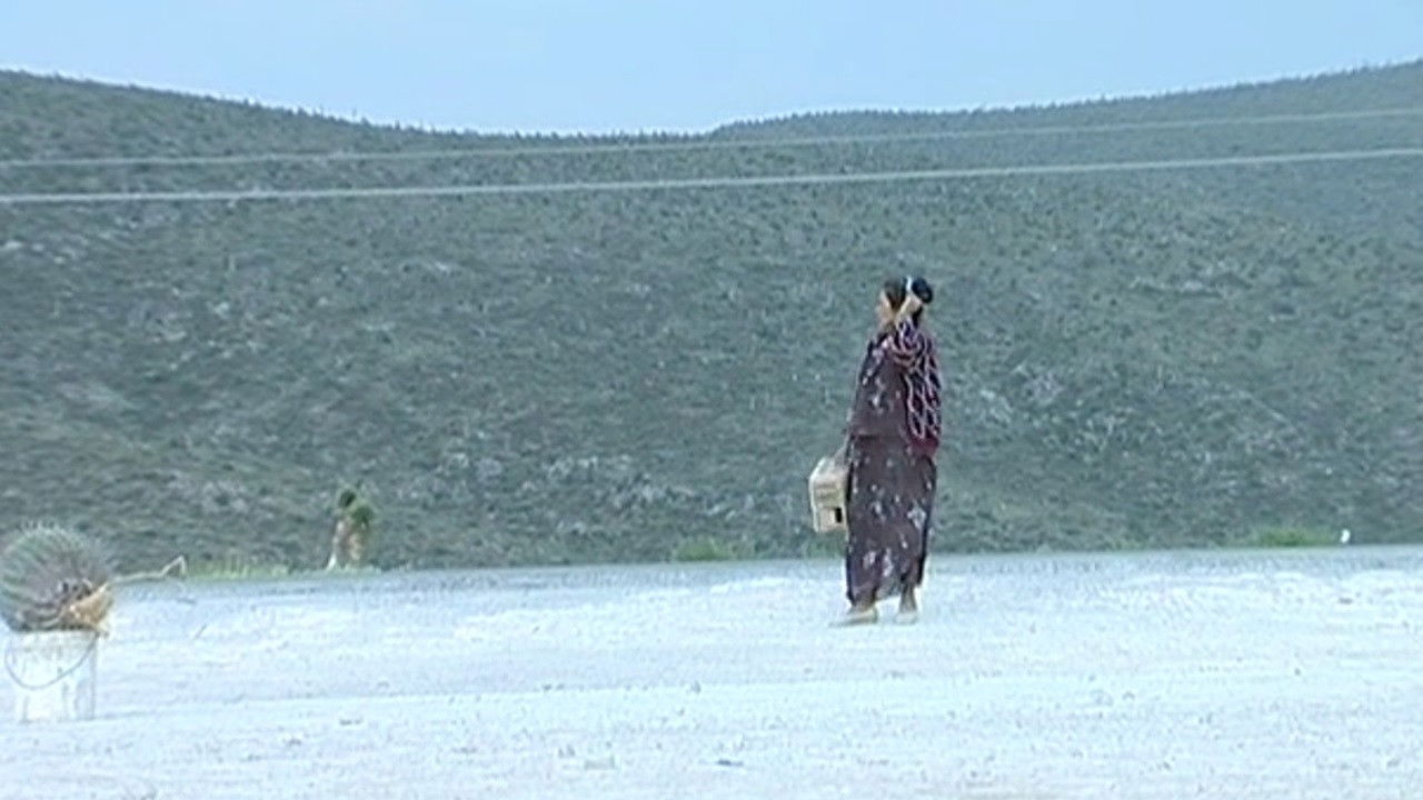 Tropico de cancer Background