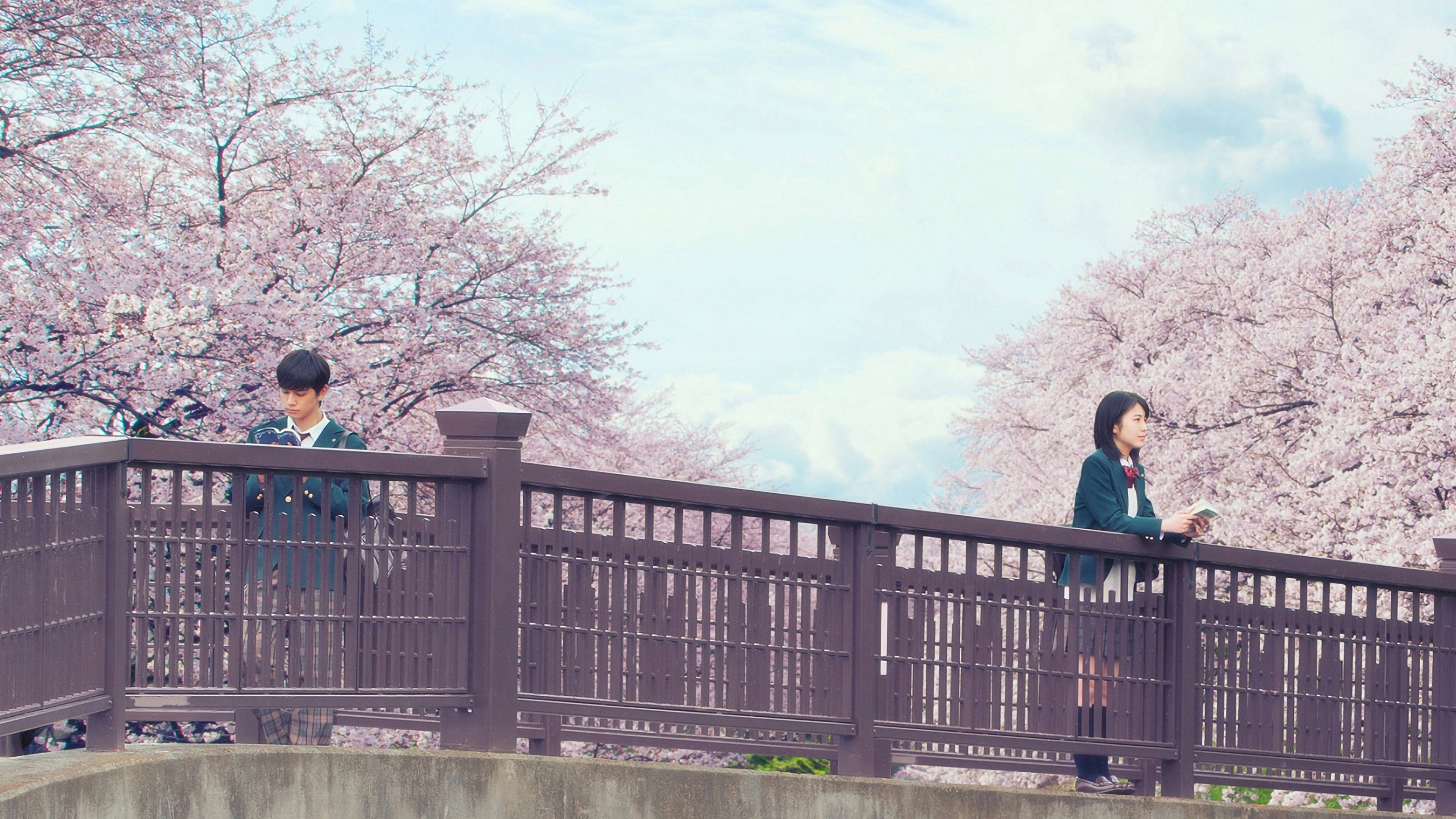 Let Me Eat Your Pancreas Background