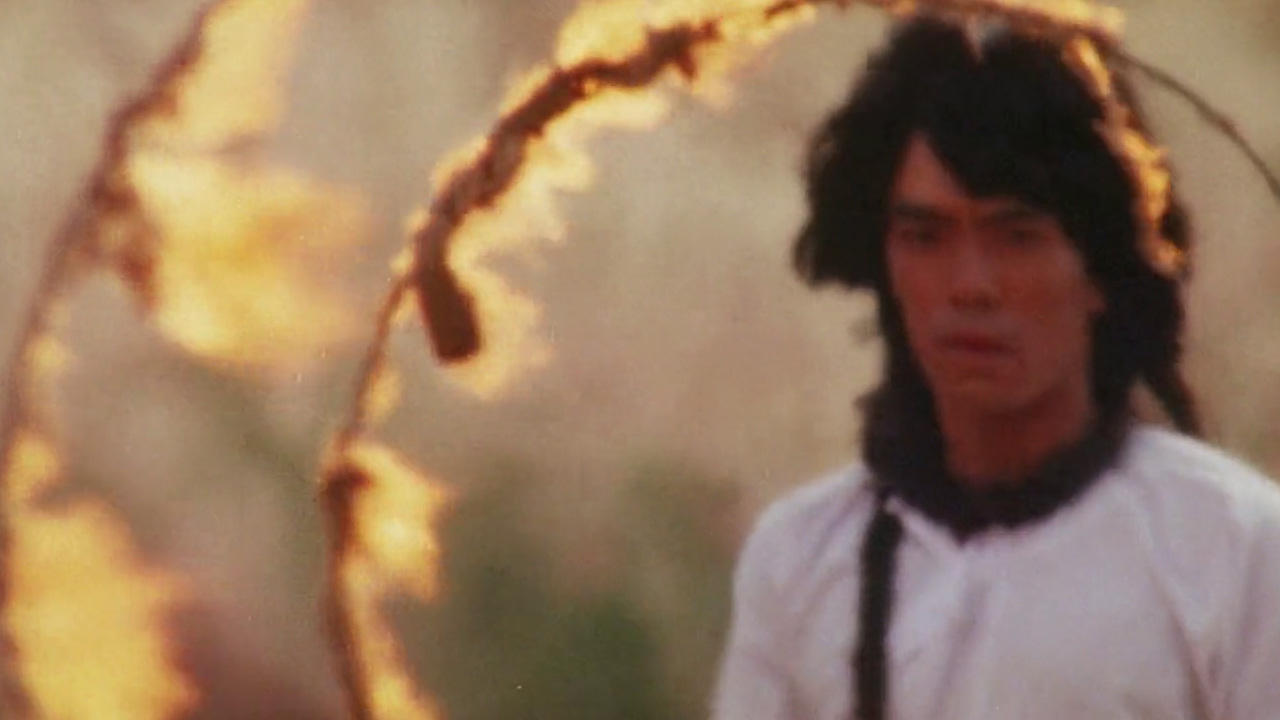 Snake In The Eagles Shadow 2 Background