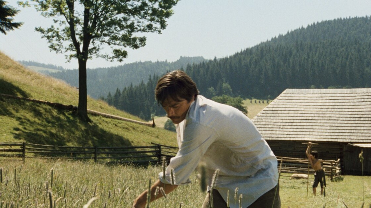 Shadows of a Hot Summer Background