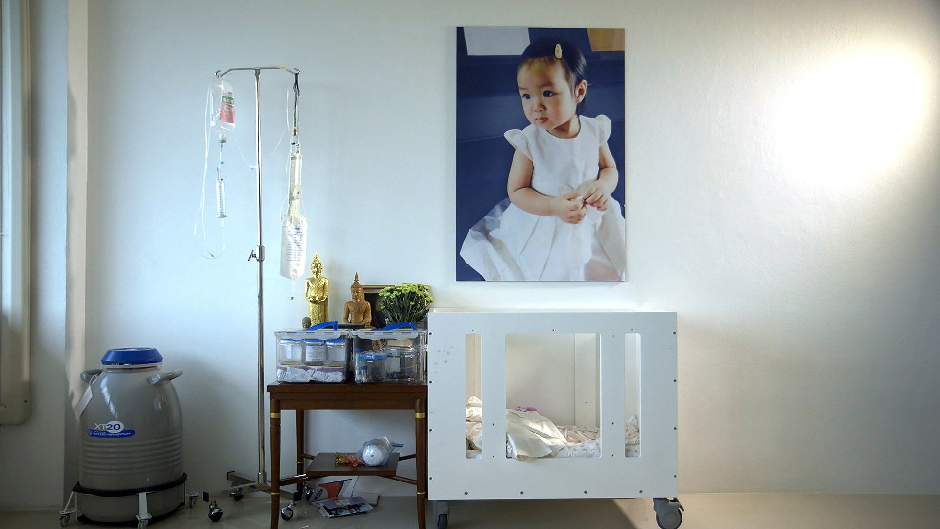 Hope Frozen: A Quest To Live Twice Background