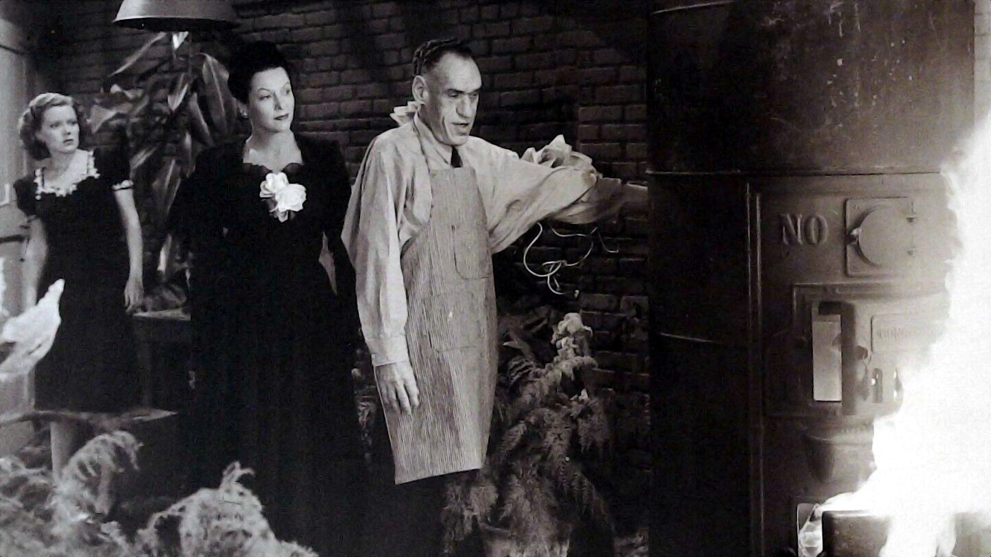 The Spider Woman Strikes Back Background