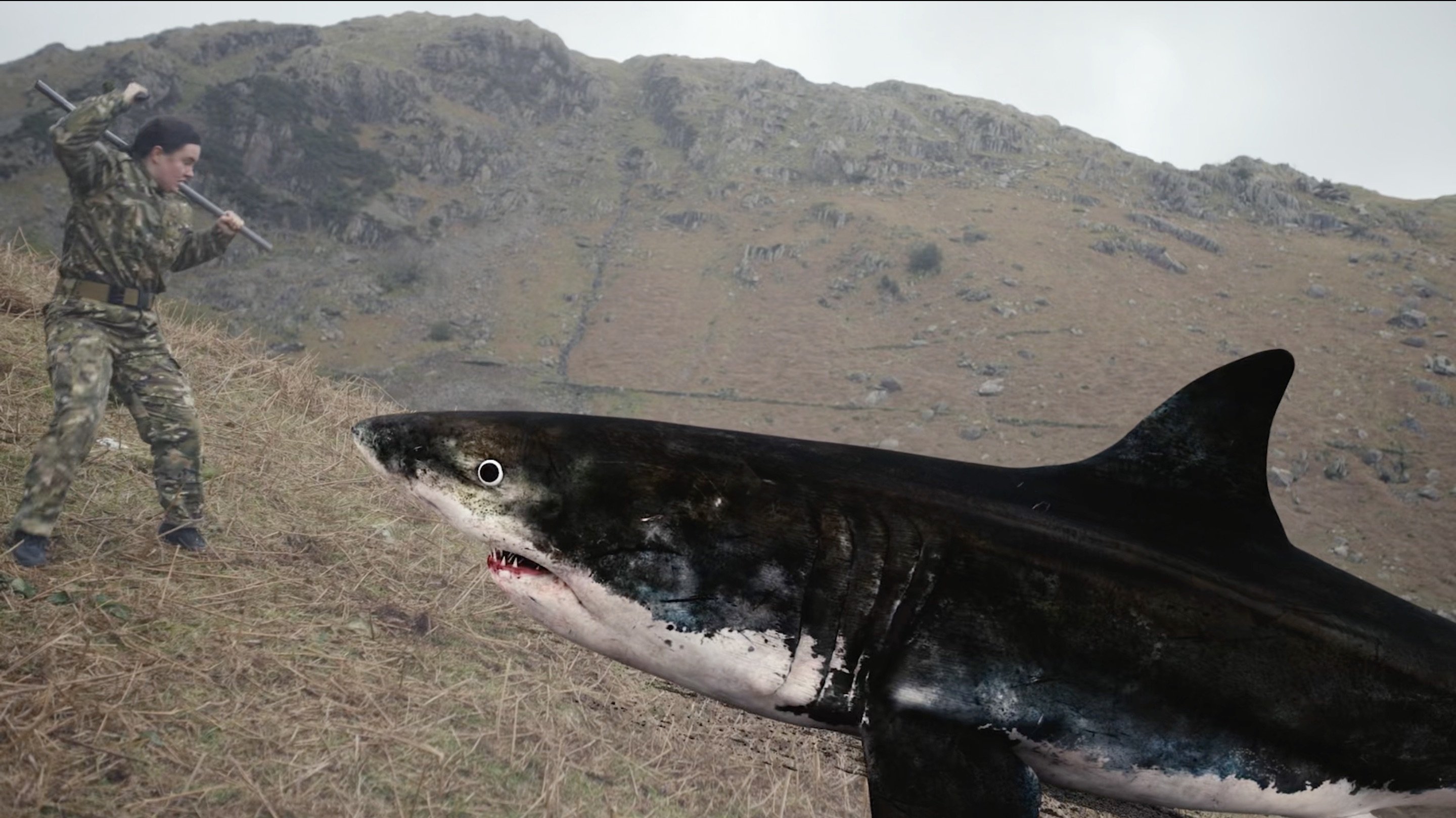 Mountain Shark Background