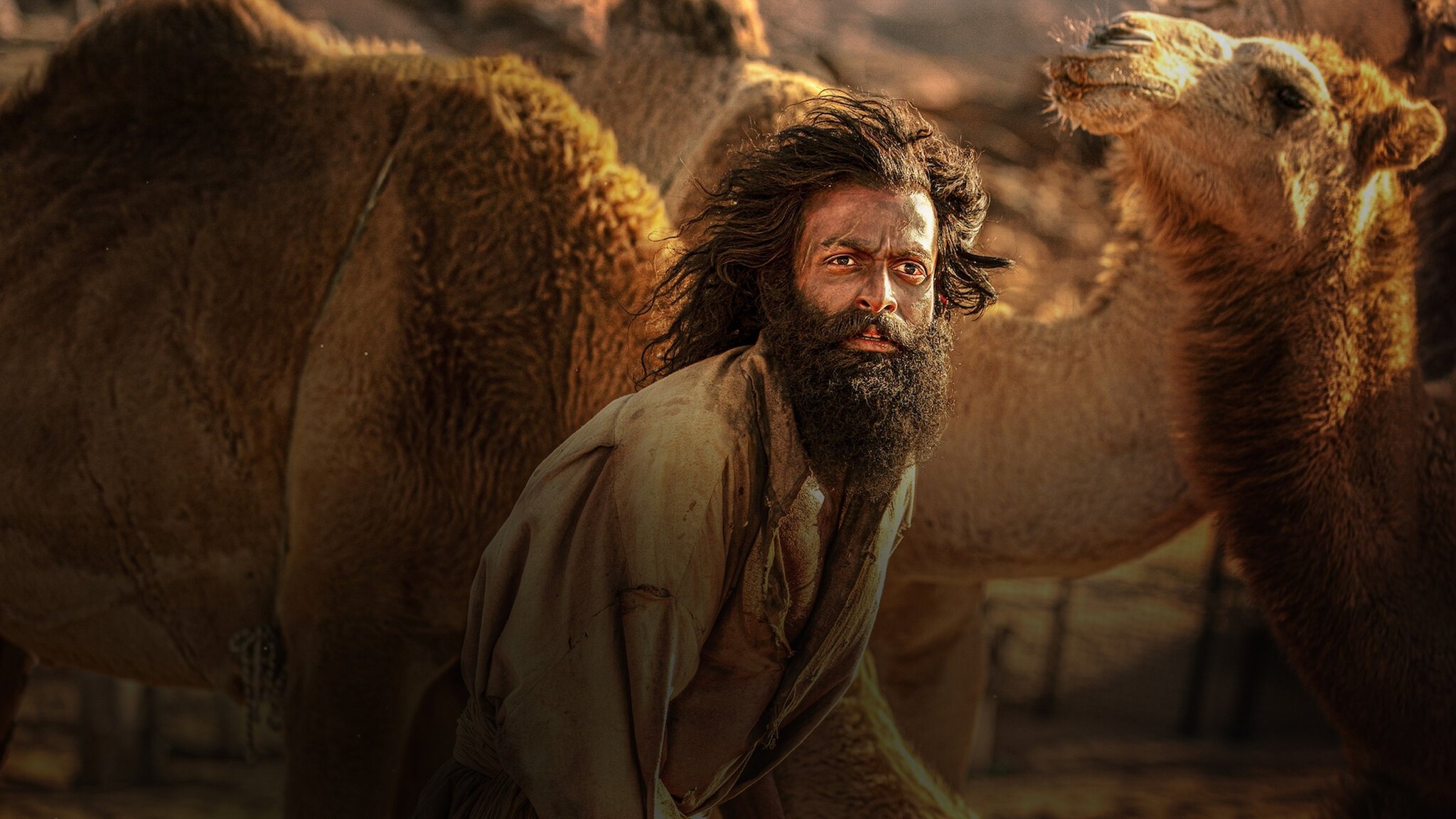 The Goat Life Background