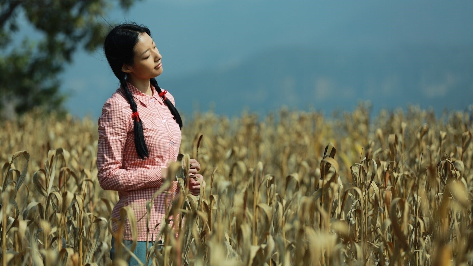 Mountain Cry Background