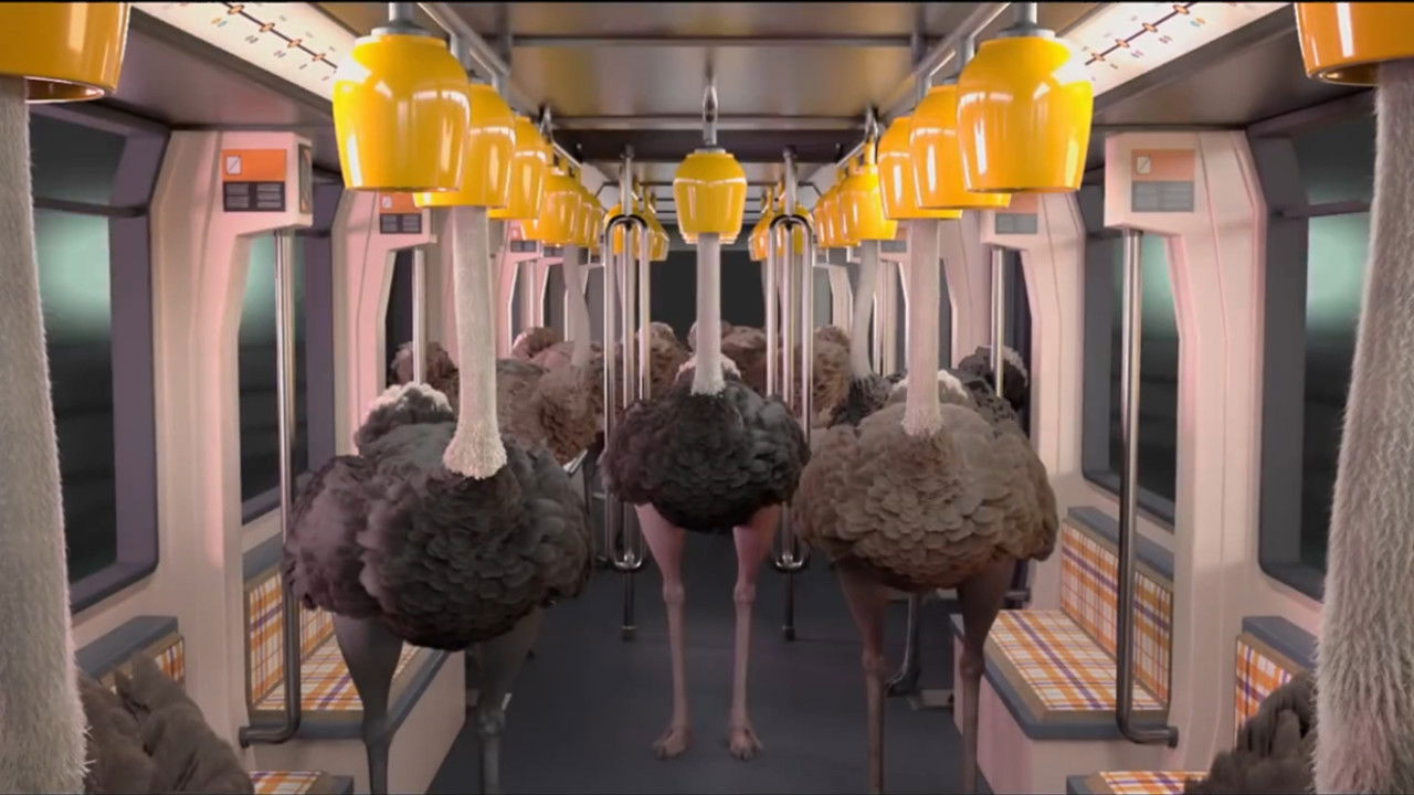 Ostrich Politic Background