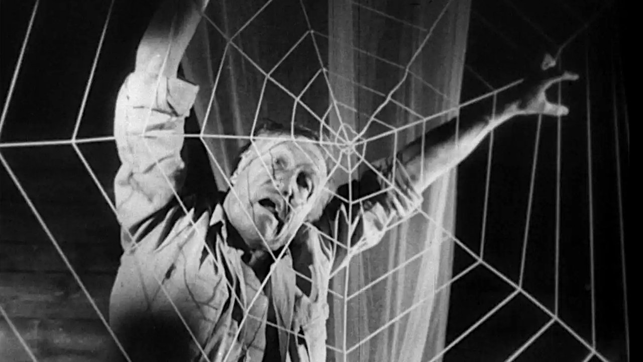 Horrors of Spider Island Background