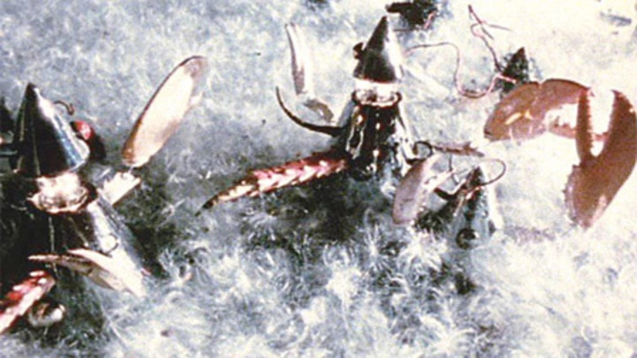 Babobilicons Background