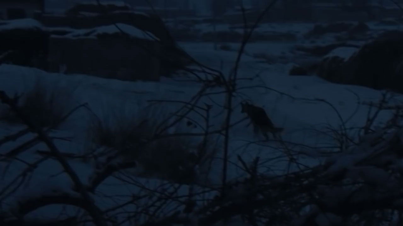 狼来了 Background