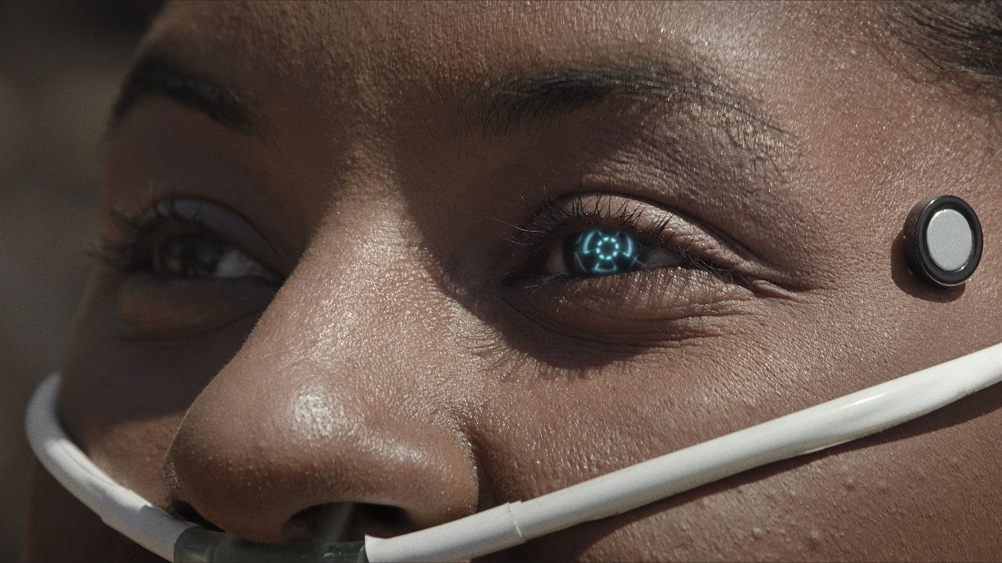 SERTÃO 2138 Background