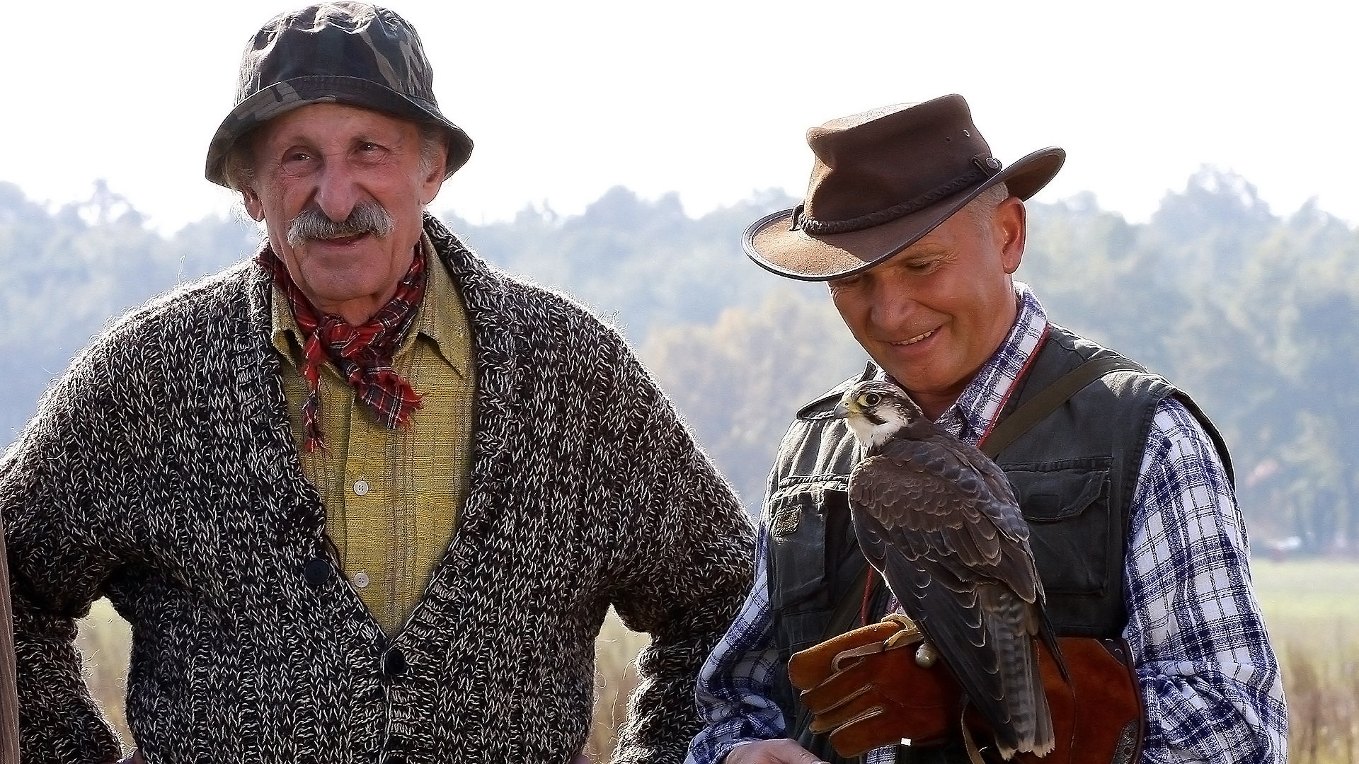 Hotel pod żyrafą i nosorożcem Background