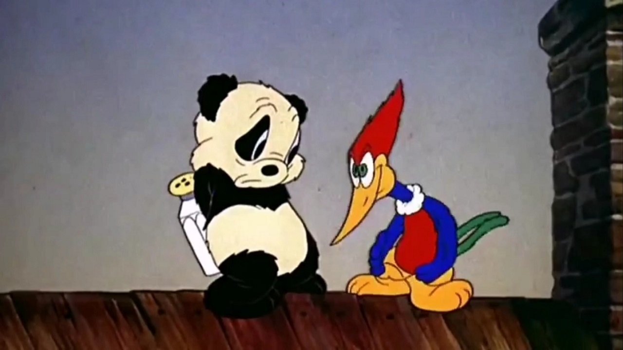 Knock Knock Background