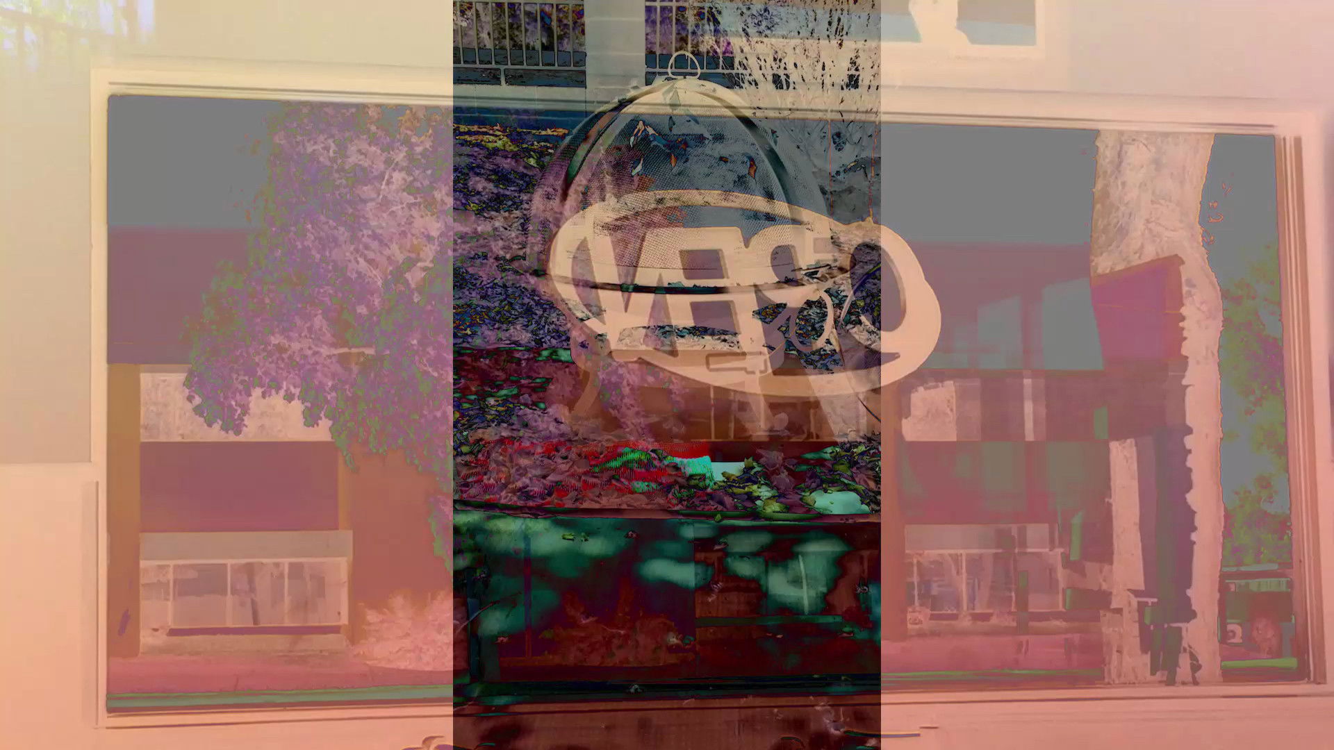 Questioning, Requesting Background