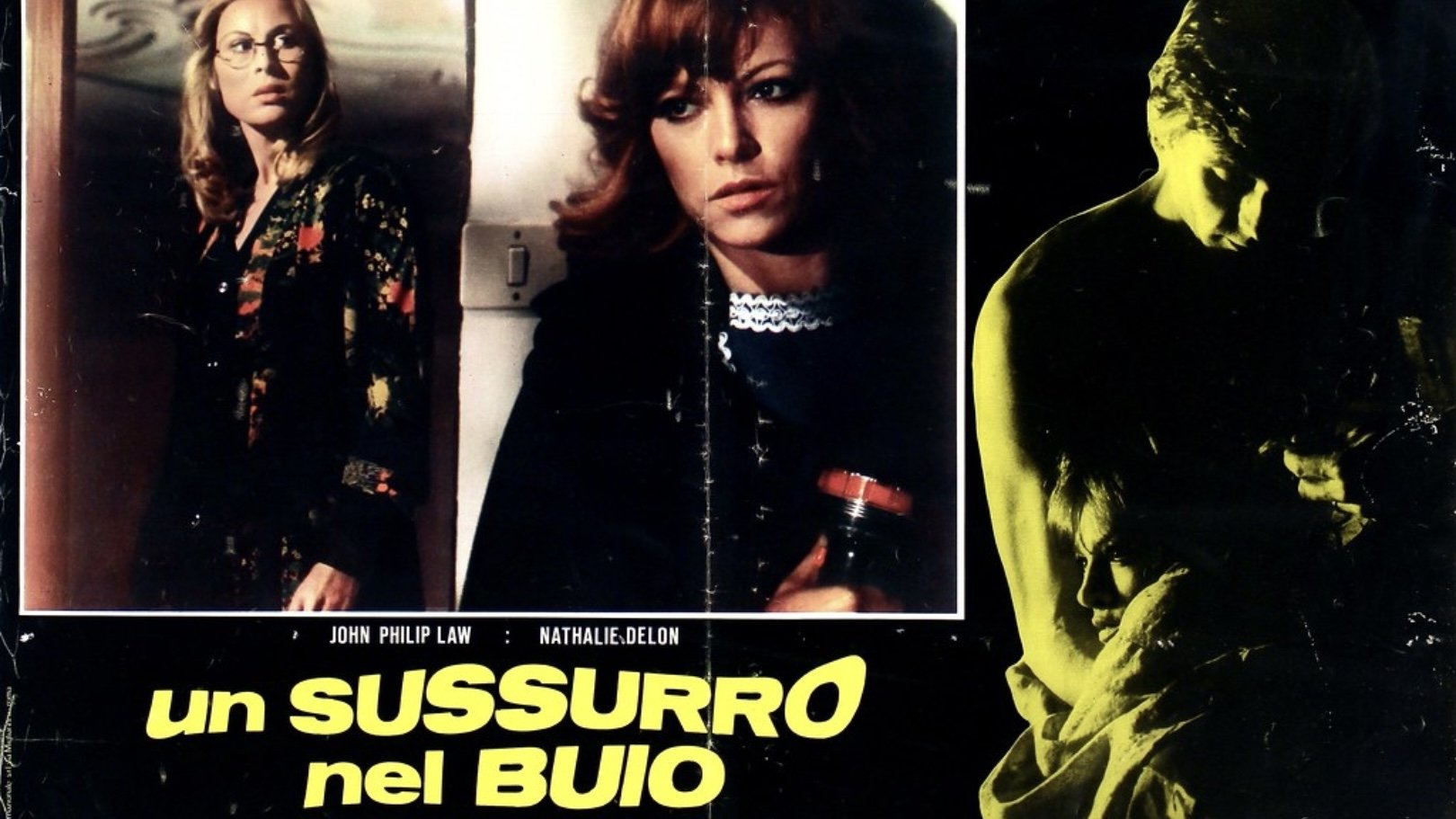 A Whisper in the Dark Background