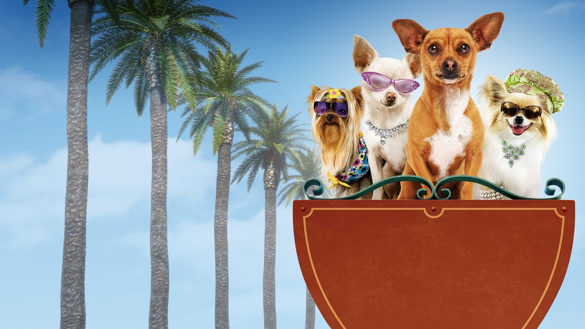 Beverly Hills Chihuahua Background