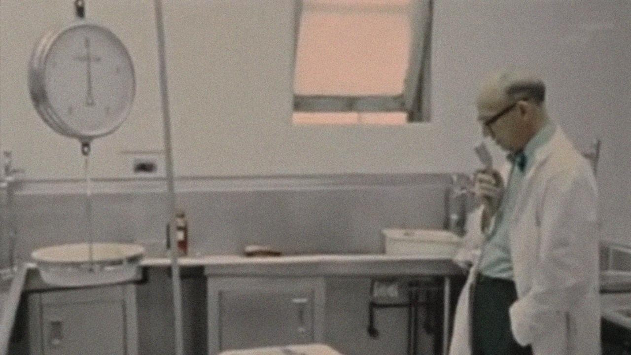 The Act of Seeing with One's Own Eyes Background