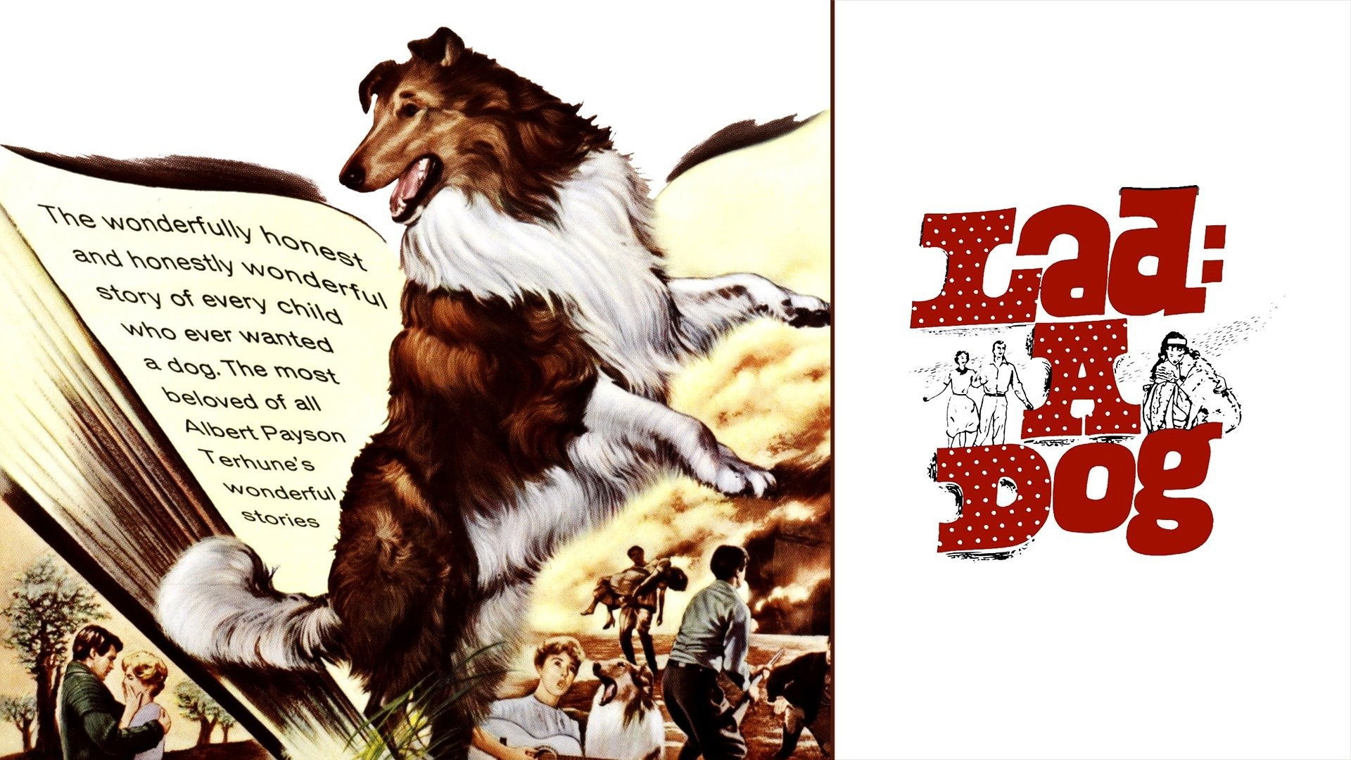 Lad: A Dog Background