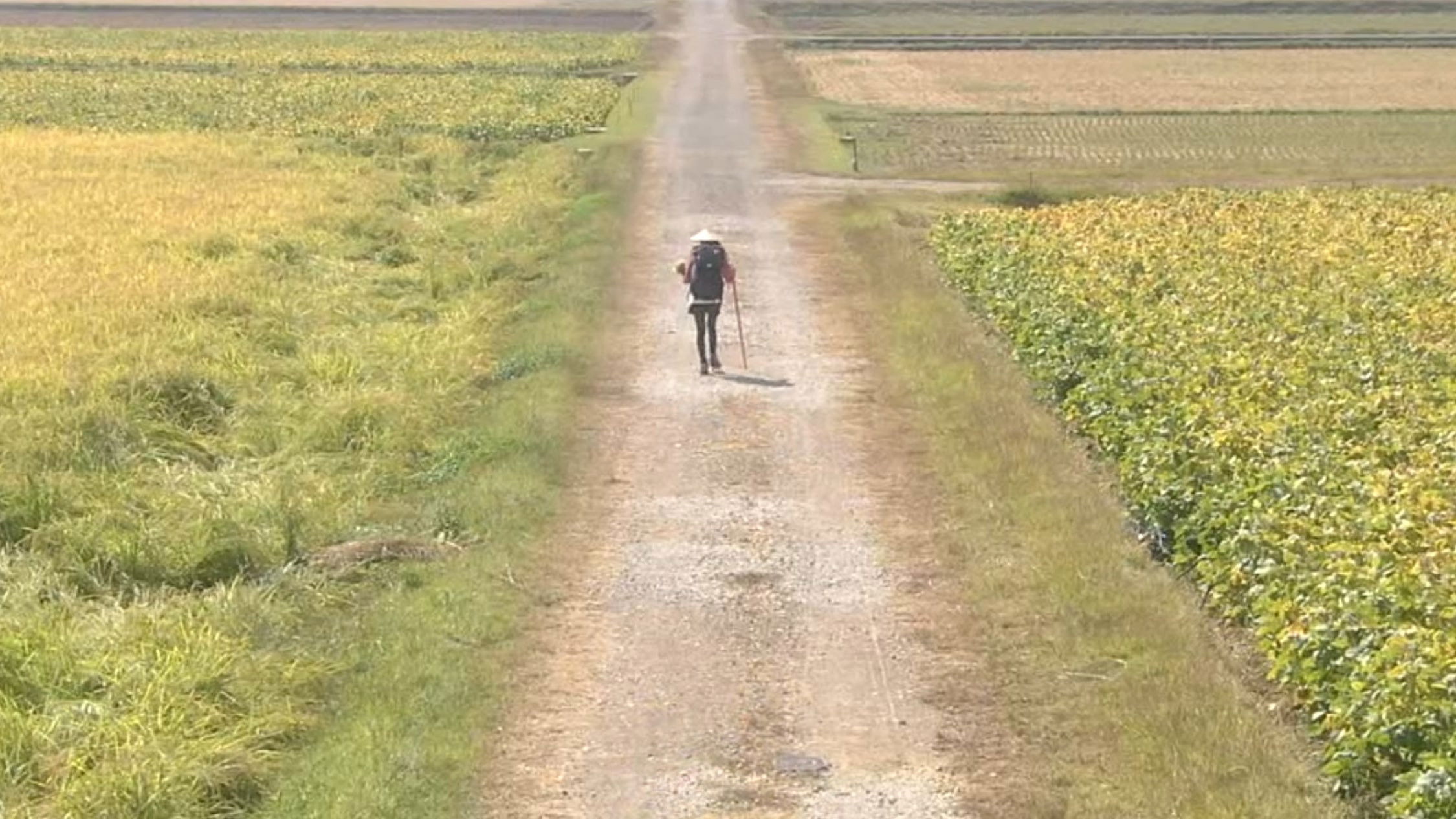 Walk, Walk, Walk ~ Shikoku Pilgrimage Journey Background