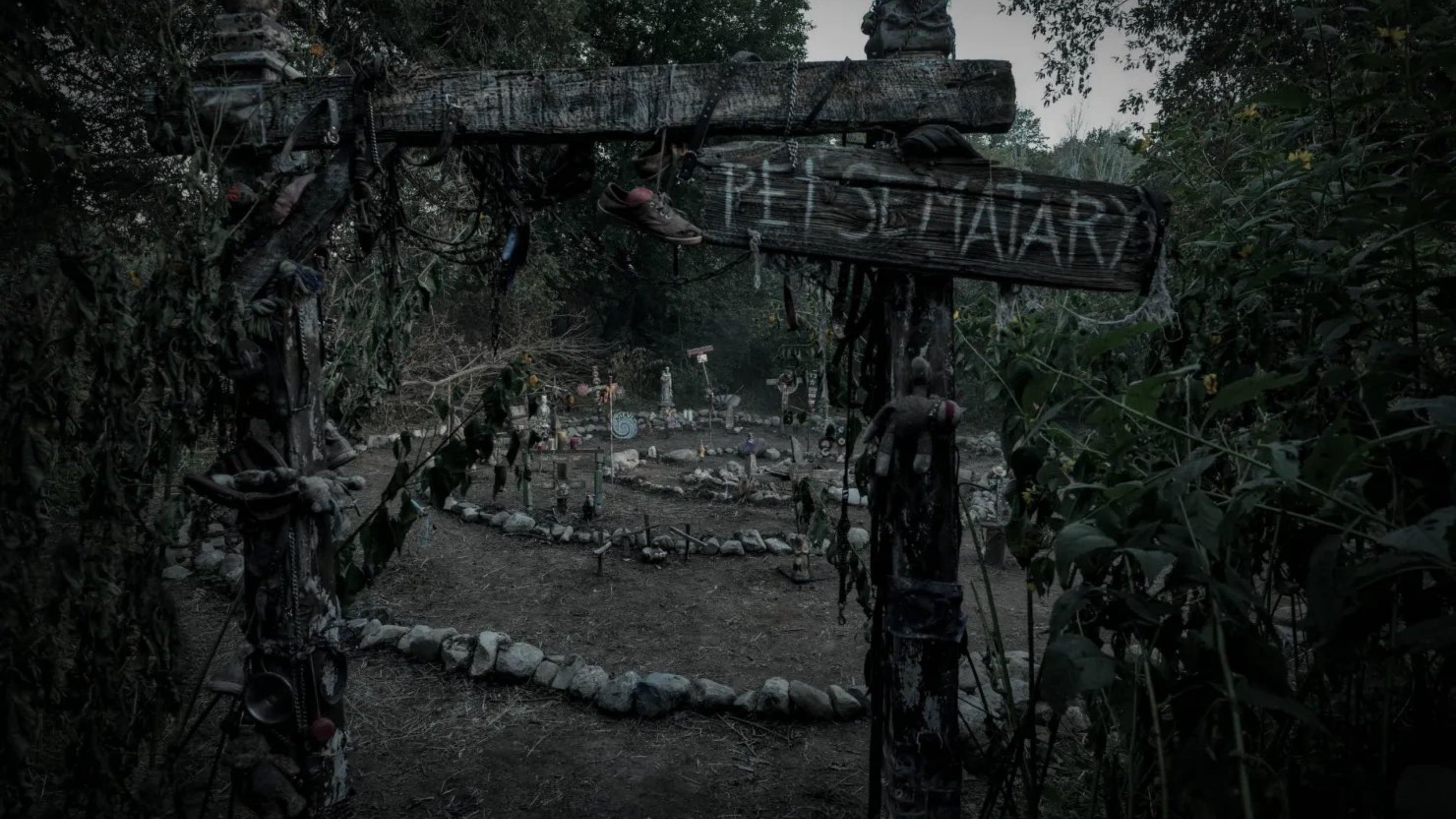 Pet Sematary: Bloodlines Background