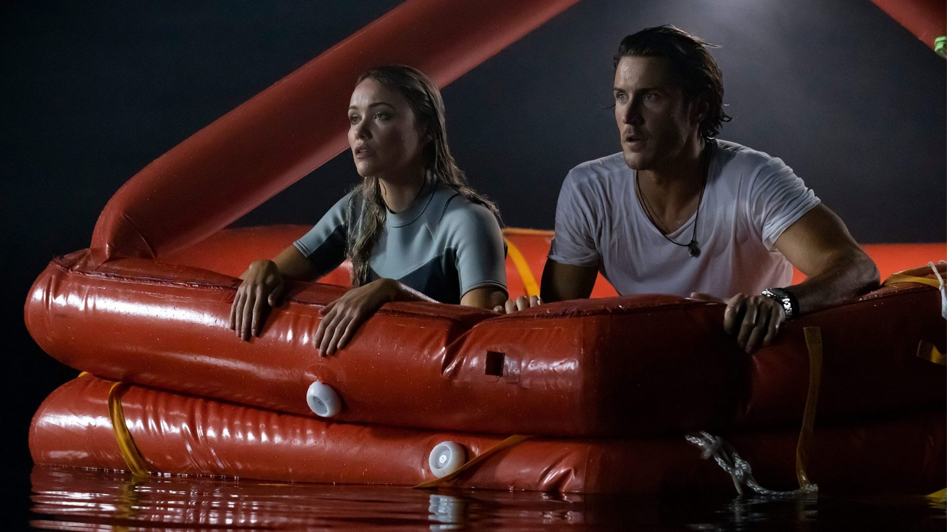 Great White Background