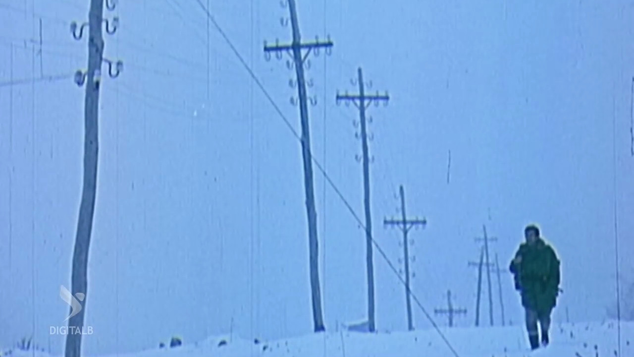 White Roads Background