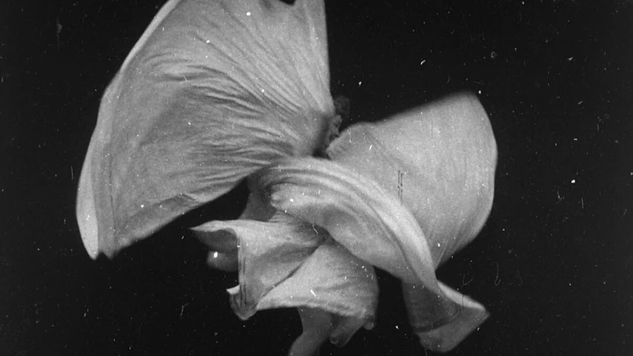 Serpentine Dance by Mme. Bob Walter Background