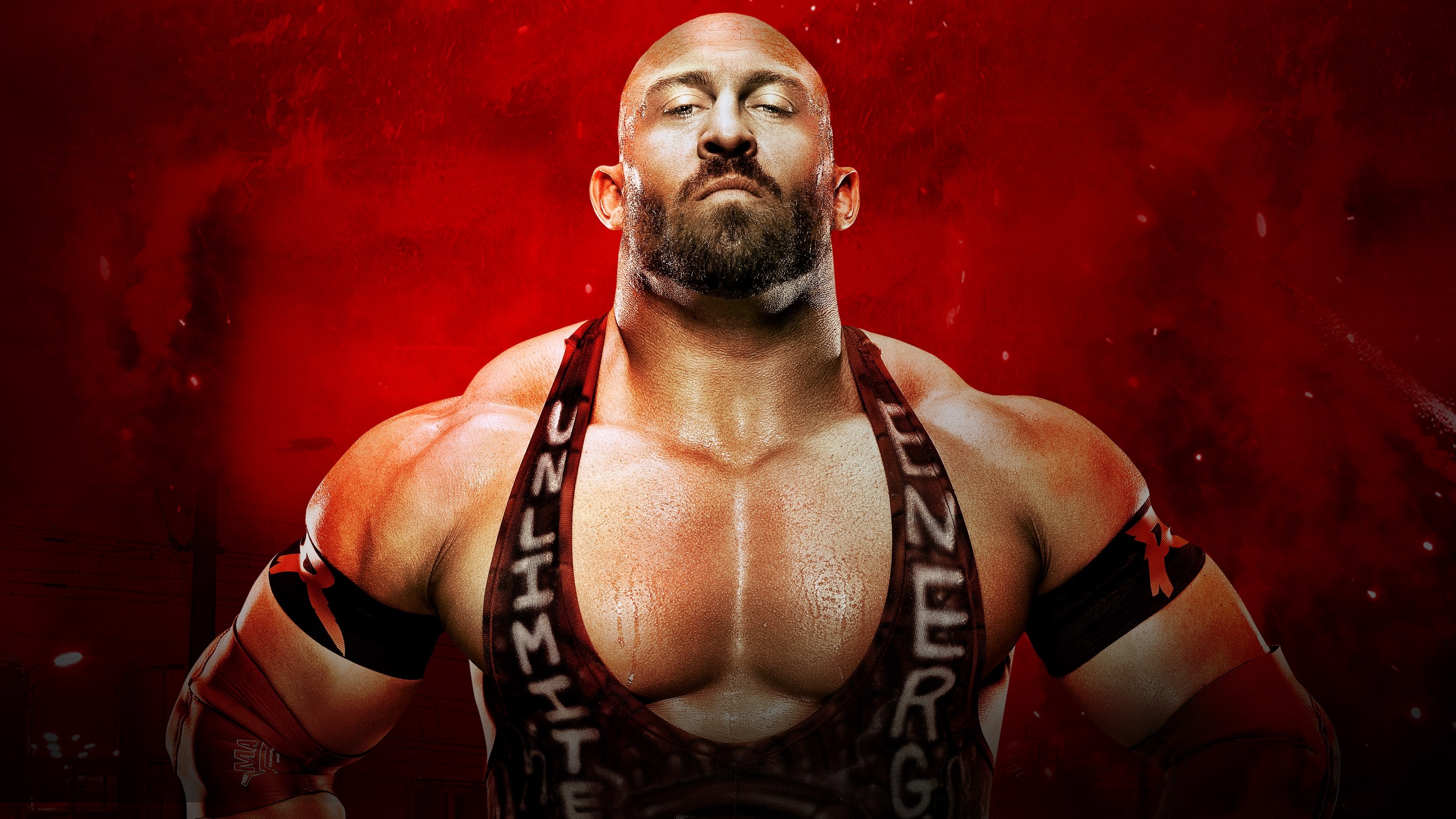 WWE Battleground 2013 Background