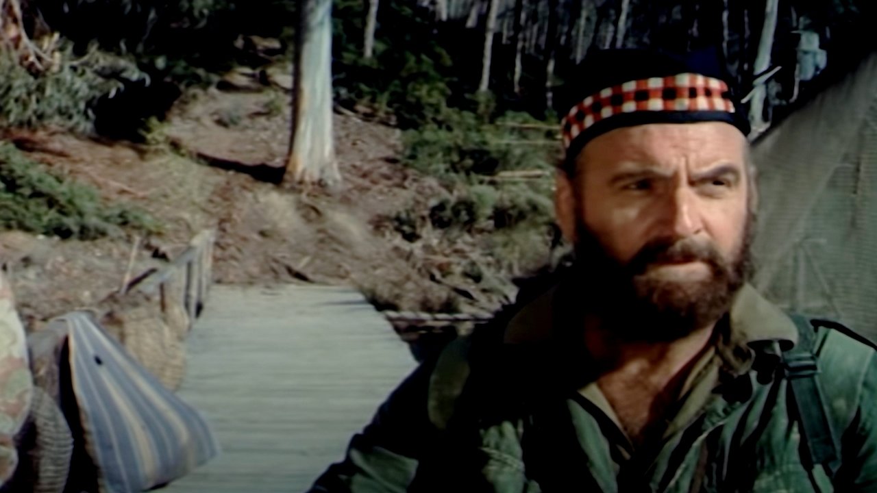 The Last Grenade Background