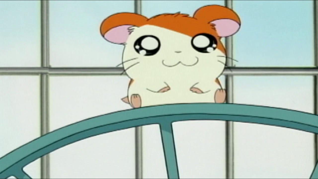 Hamtaro Background
