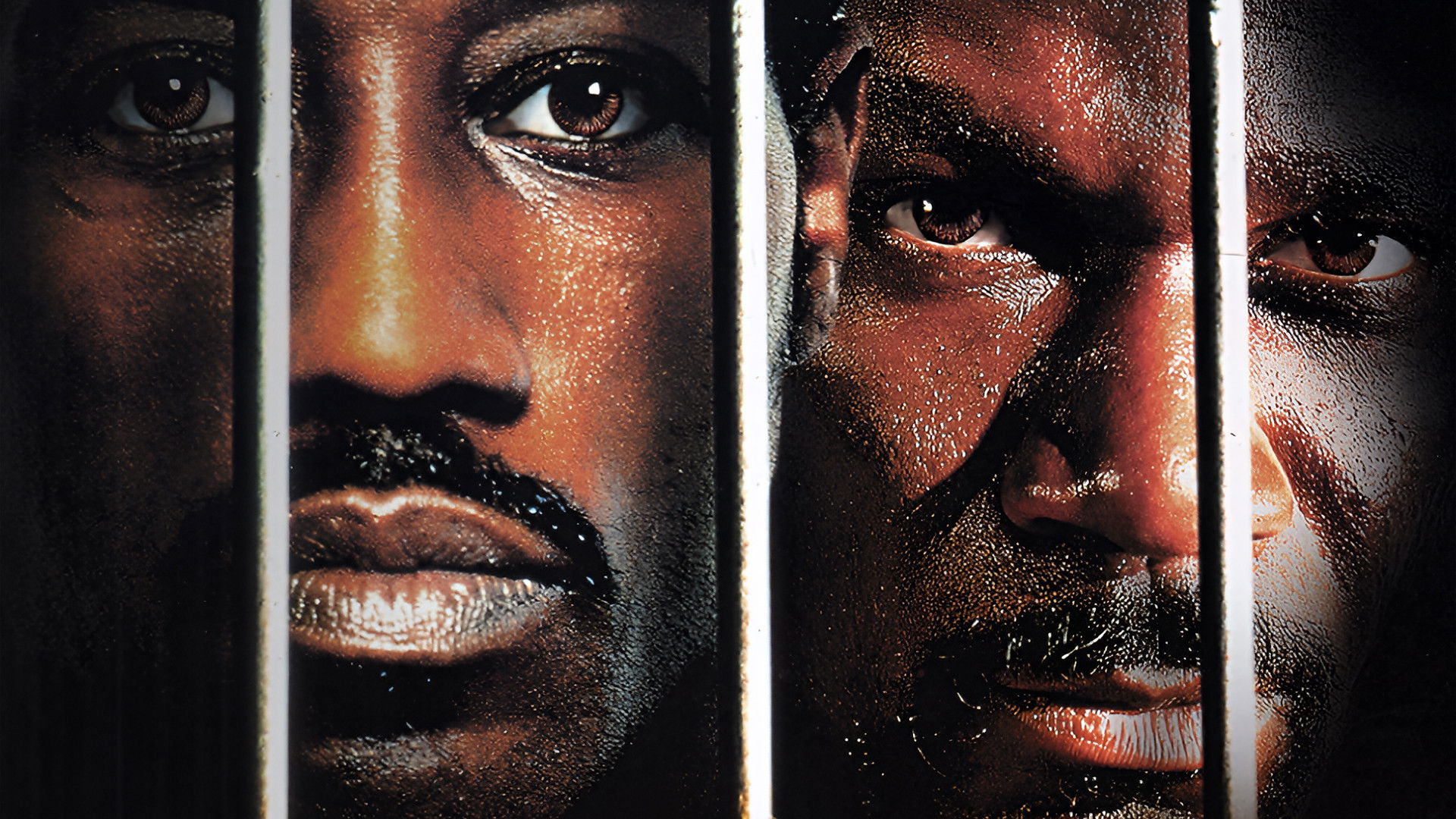 Undisputed Background