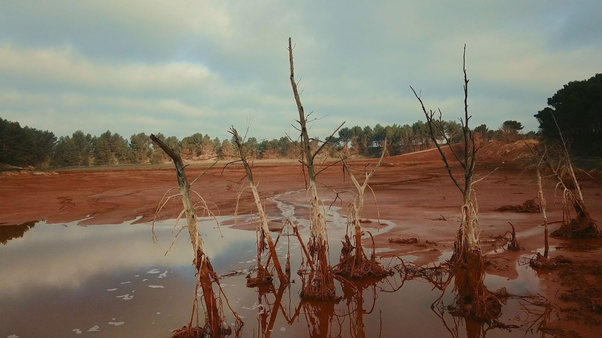 Toxic Tour Background