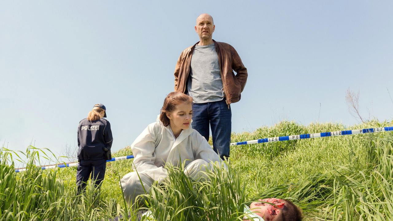 Wolfsland - Das heilige Grab Background