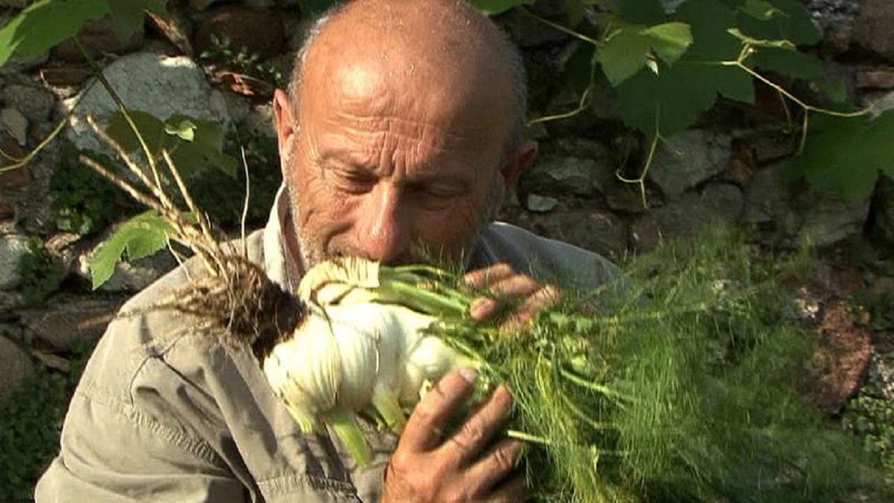 Mother Earth Background