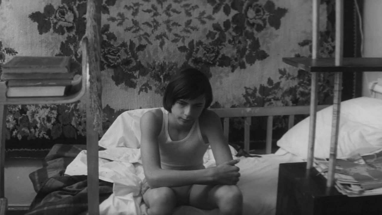 Domestic Circumstances Background