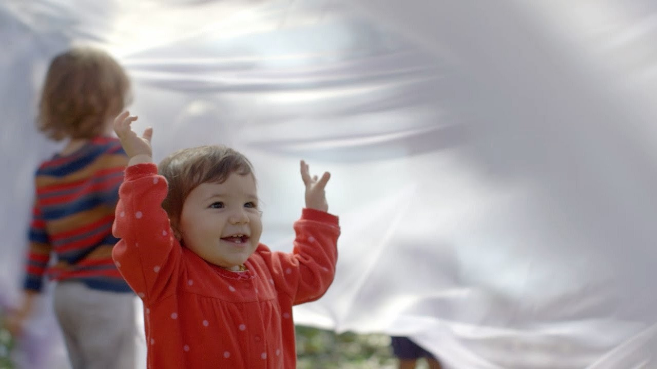 The Beginning of Life: The Series Background