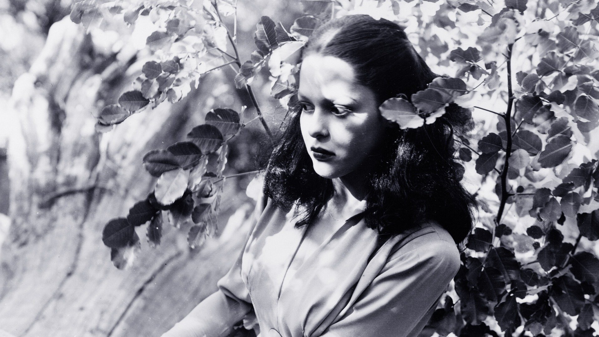 Jungle Woman Background