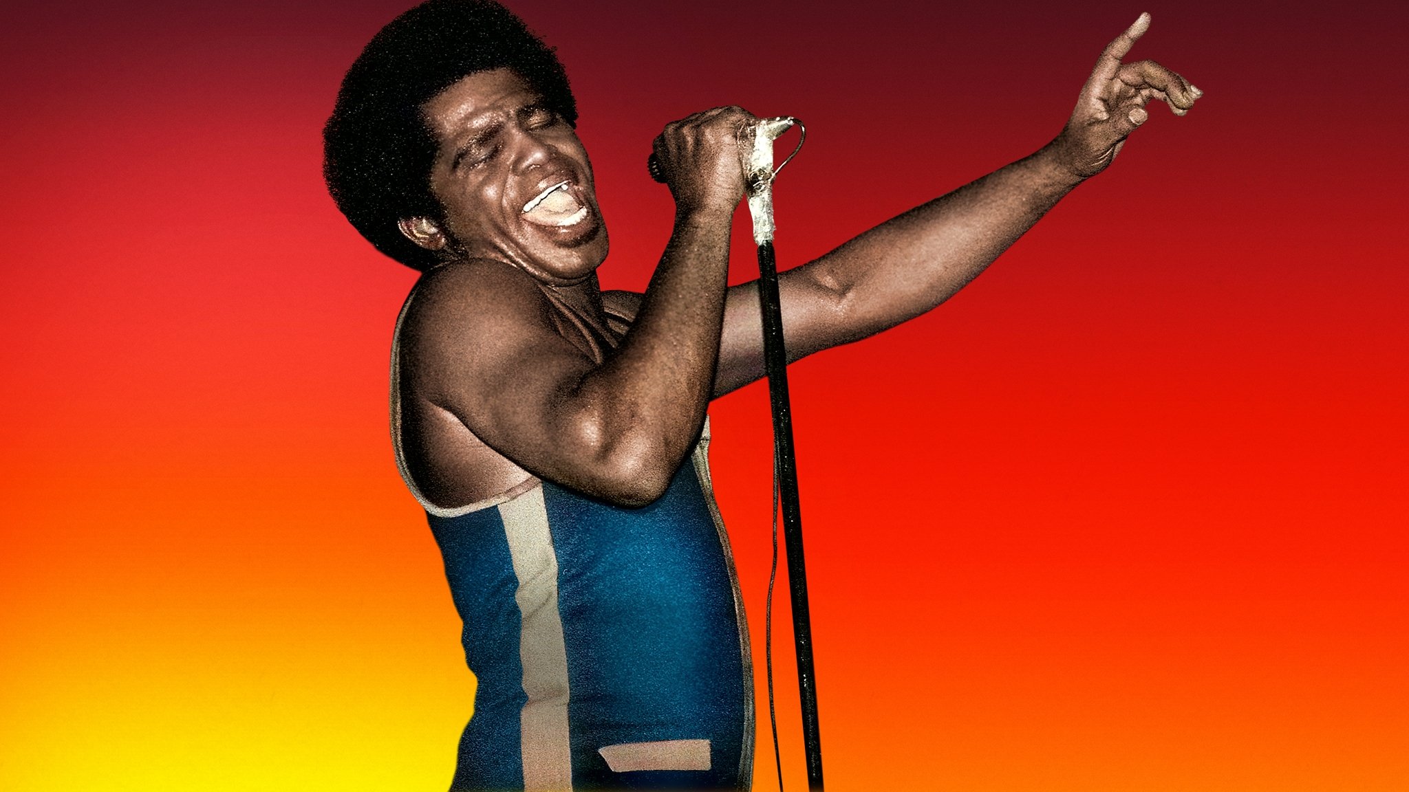 James Brown: Say It Loud Background