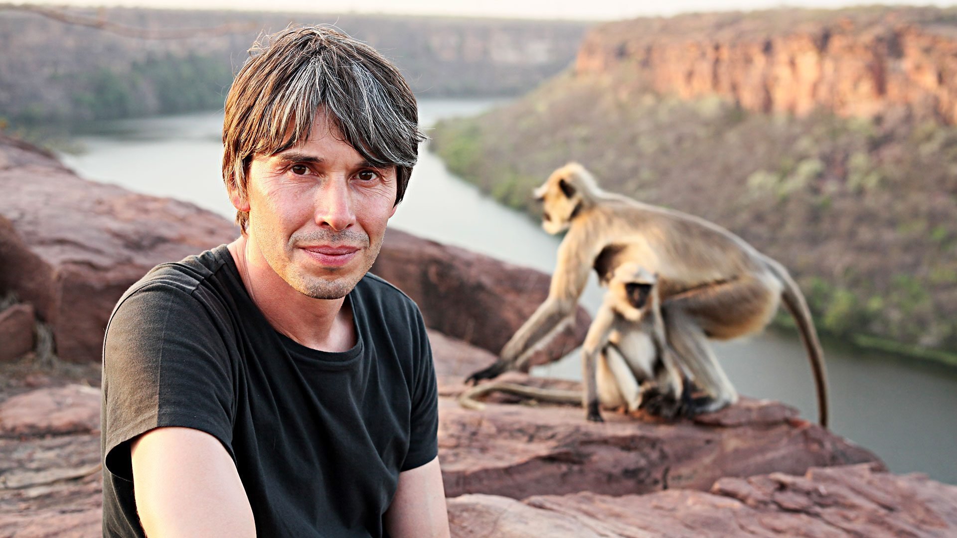 Human Universe Background