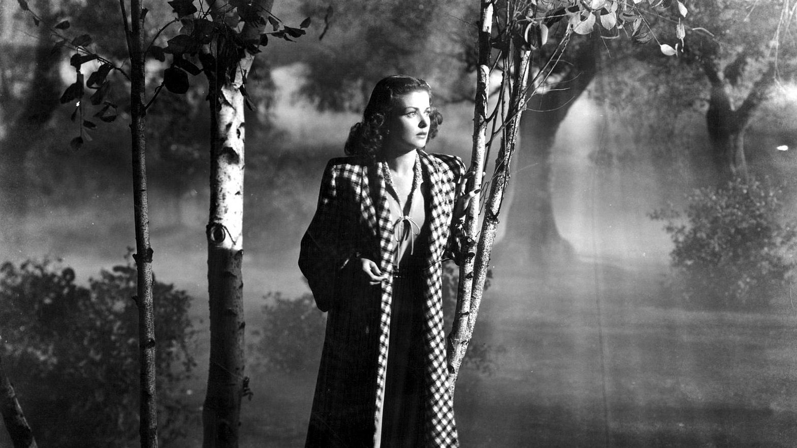 Secret Beyond the Door Background